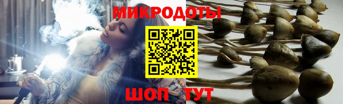Краснознаменск  Псилоцибиновые грибы GOLDEN TEACHER  Вход с VPN 