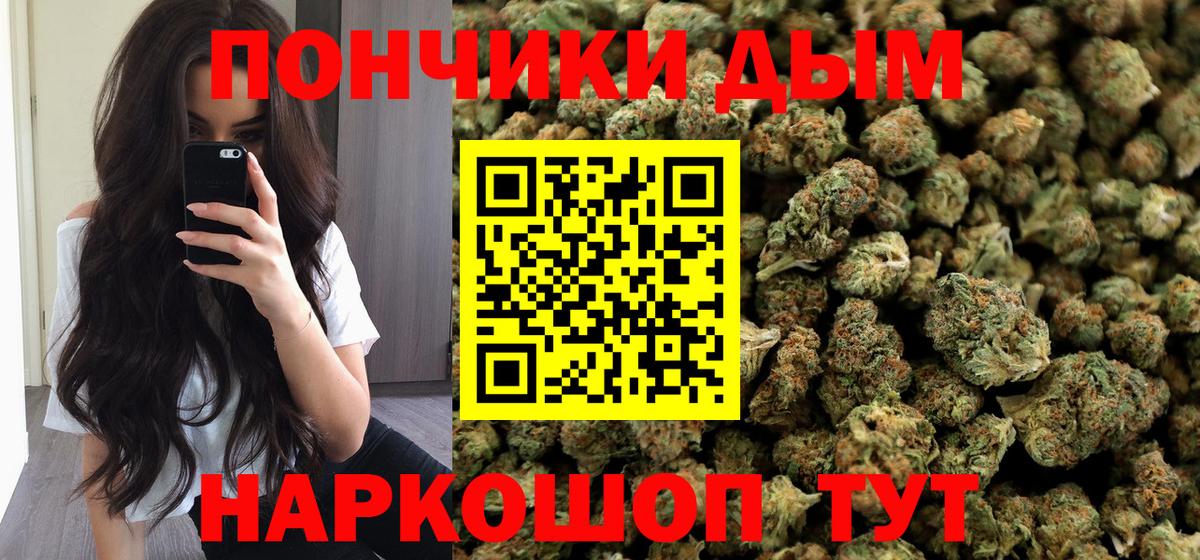 Краснознаменск  Конопля план  Конопля гибрид  Вход с VPN 